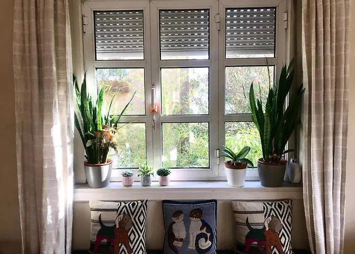 Antas Cozy House 아파트