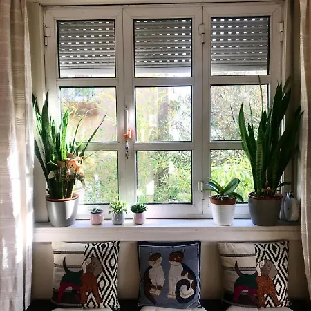 Antas Cozy House Appartement